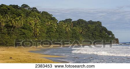 Morning sun on a Caribbean beach; Puerto Viejo, Costa Rica View Large Photo Image Stock Image - Morning sun on a Caribbean beach; Puerto Viejo, Costa Rica. Fotosearch