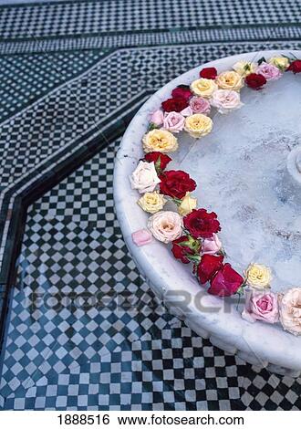 Stock Photograph - Morocco, Close Up; Marrakech, Flower Blossoms Floating In Fountains On Tiled Floor. Fotosearch