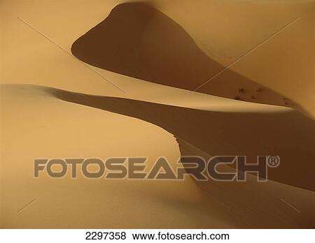 Stock Photo - Morocco, Detail of sand dunes at dawn in Erg Chebbi area; Sahara Desert near Merzouga. Fotosearch