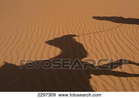 Morocco, Erg Chebbi area; Sahara Desert near Merzouga, Shadow of Berber 'Blue man' leading camel across sand dunes View Large Photo Image Stock Photo - Morocco, Erg Chebbi area; Sahara Desert near Merzouga, Shadow of Berber 'Blue man' leading camel across sand dunes. Fotosearch