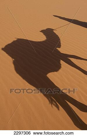 Morocco, Erg Chebbi area; Sahara Desert near Merzouga, Shadow of Berber 'Blue man' leading camel across sand dunes View Large Photo Image Stock Photograph - Morocco, Erg Chebbi area; Sahara Desert near Merzouga, Shadow of Berber 'Blue man' leading camel across sand dunes. Fotosearch