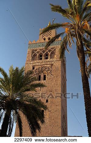 Morocco, Looking through date palms to minaret of Koutobia Mosque at dawn; Marrakesh View Large Photo Image Stock Photo - Morocco, Looking through date palms to minaret of Koutobia Mosque at dawn; Marrakesh. Fotosearch