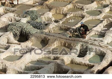 Stock Image - Morocco, Man working in tannery; Fez. Fotosearch