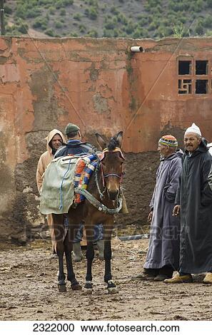 Stock Image - Morocco, Men standing around, talking together beside horse covered with colorful fabric over saddle. Fotosearch