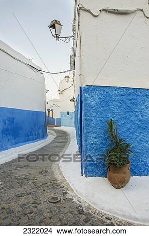 Picture - Morocco, Rabat, Buildings painted in blue and white in old town. Fotosearch
