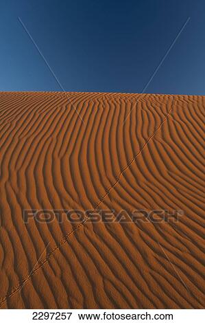 Morocco, Sand dune near Merzouga in Sahara Desert; Erg Chebbi area View Large Photo Image Stock Photo - Morocco, Sand dune near Merzouga in Sahara Desert; Erg Chebbi area. Fotosearch
