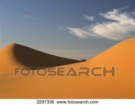 Morocco, Sand dunes and clump of grass at dusk in Erg Chebbi area; Sahara Desert near Merzouga View Large Photo Image Stock Photograph - Morocco, Sand dunes and clump of grass at dusk in Erg Chebbi area; Sahara Desert near Merzouga. Fotosearch