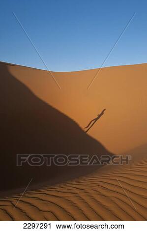 Stock Image - Morocco, Shadow of man running up sand dune in Erg Chebbi area; Sahara Desert near Merzouga. Fotosearch