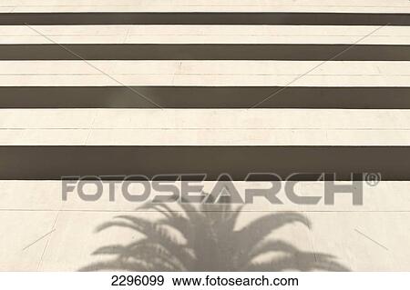 Morocco, Shadow of palm tree on white concrete office building; Casablanca View Large Photo Image Stock Photo - Morocco, Shadow of palm tree on white concrete office building; Casablanca. Fotosearch