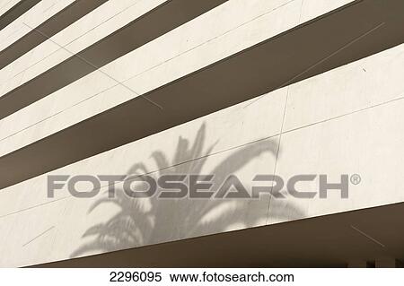 Morocco, Shadow of palm tree on white concrete office building; Casablanca View Large Photo Image Stock Photography - Morocco, Shadow of palm tree on white concrete office building; Casablanca. Fotosearch