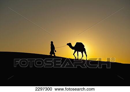 Stock Image - Morocco, Silhouette of Berber 'Blue man' leading camel across sand dunes at dusk in Erg Chebbi area; Sahara Desert near Merzouga. Fotosearch