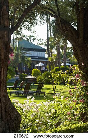 Stock Image - Morocco, View of summer garden; Marrakech. Fotosearch