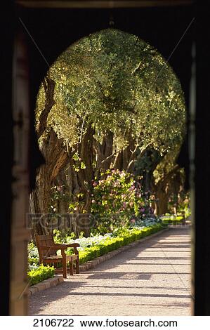 Morocco, View of summer garden; Marrakech View Large Photo Image Stock Image - Morocco, View of summer garden; Marrakech. Fotosearch