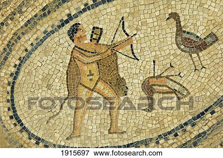 Mosaic At Roman City Of Volubilis View Large Photo Image Stock Photo - Mosaic At Roman City Of Volubilis. Fotosearch