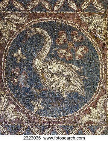 Stock Photograph - Mosaic of swan; Soli, Cyprus. Fotosearch
