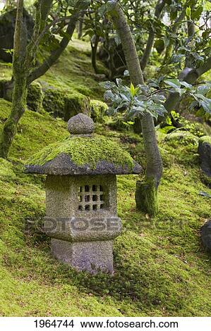 Picture - Moss Covered Stone Lantern On A Hillside With Trees In The Background; Portland Oregon United States Of America. Fotosearch