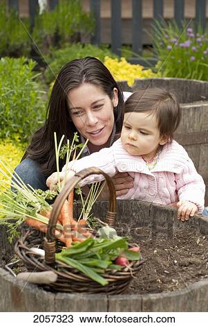 Mother And Child Harvesting Carrots And Vegetables From Garden Outside, Vancouver British Columbia View Large Photo Image Stock Image - Mother And Child Harvesting Carrots And Vegetables From Garden Outside, Vancouver British Columbia. Fotosearch
