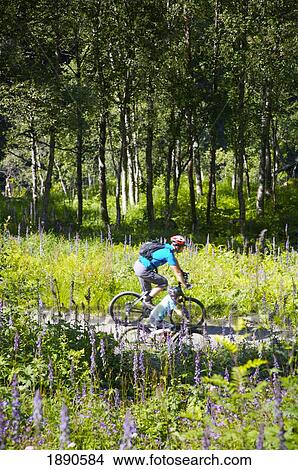 Picture - Mother And Daughter Cycling On Trail Among Field And Forest. Fotosearch