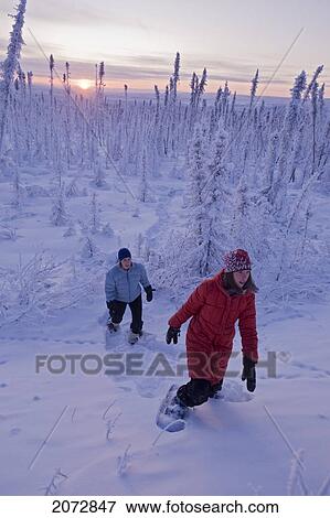 Mother And Daughter Hiking In Snowshoes Through Snow-Covered Forest, Dempster Highway, Yukon View Large Photo Image Stock Photo - Mother And Daughter Hiking In Snowshoes Through Snow-Covered Forest, Dempster Highway, Yukon. Fotosearch