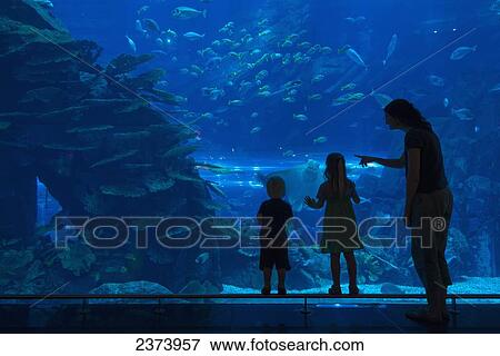 Stock Photo - Mother with boy and girl looking into the massive aquarium in the Dubai Mall; Dubai, United Arab Emirates. Fotosearch