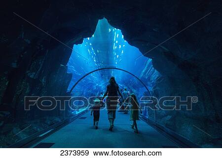 Stock Photo - Mother with boy and girl walking through tunnel in the massive aquarium in the Dubai Mall; Dubai, United Arab Emirates. Fotosearch