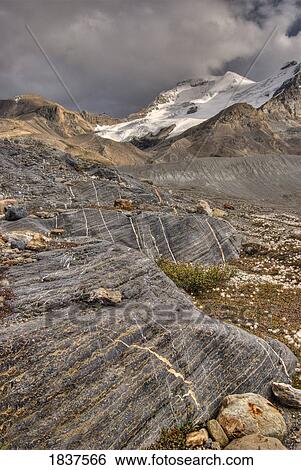 Mount Athabasca; Jasper National Park, Alberta, Canada View Large Photo Image Stock Photograph - Mount Athabasca; Jasper National Park, Alberta, Canada. Fotosearch