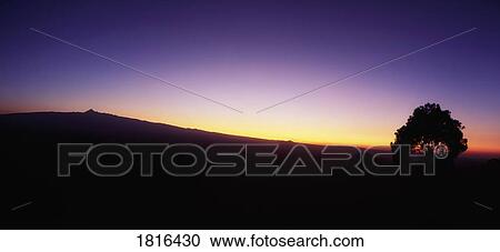 Stock Image - Mount Kenya, Kenya, Africa. Fotosearch