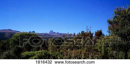 Mount Kenya National Park, Kenya, Africa; Unesco Biosphere Reserve And World Heritage Site View Large Photo Image Stock Image - Mount Kenya National Park, Kenya, Africa; Unesco Biosphere Reserve And World Heritage Site. Fotosearch