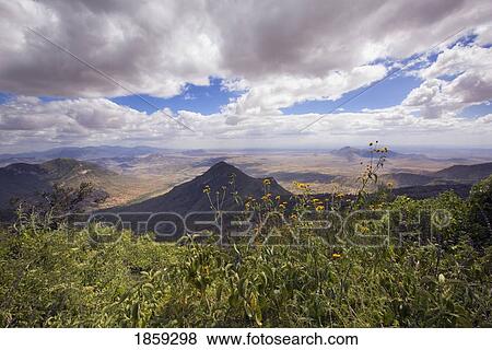 Mount Nyiru, Ewaso Rongai Valley, Kenya, East Africa View Large Photo Image Stock Photo - Mount Nyiru, Ewaso Rongai Valley, Kenya, East Africa. Fotosearch