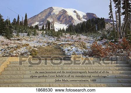 Mount Rainier National Park, Washington, United States Of America; Inscription On Steps In Paradise Park View Large Photo Image Stock Image - Mount Rainier National Park, Washington, United States Of America; Inscription On Steps In Paradise Park. Fotosearch