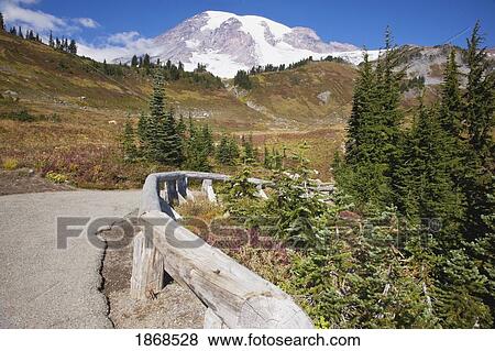 Stock Photo - Mount Rainier National Park, Washington, United States Of America; A Path With Mount Rainier In The Background. Fotosearch