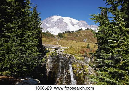 Stock Photo - Mount Rainier National Park, Washington, United States Of America; Edith Creek And Mount Rainier. Fotosearch