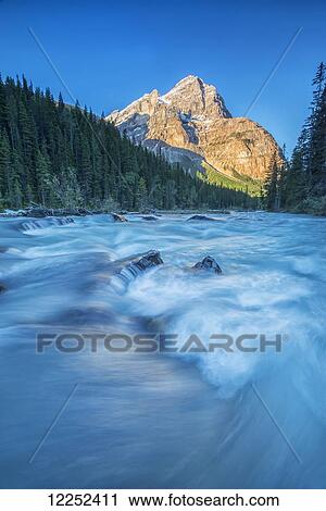 Stock Image - Mount Stephen lights up as the sun rises while the Yoho river flows by, Yoho National Park; British Columbia, Canada. Fotosearch