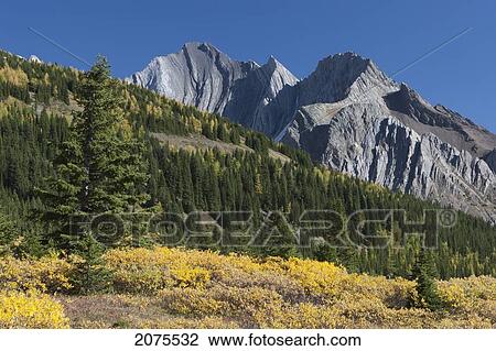 Stock Image - Mountain Hillside With Fall Colours And Mountain In The Distance With Blue Sky; Alberta Canada. Fotosearch