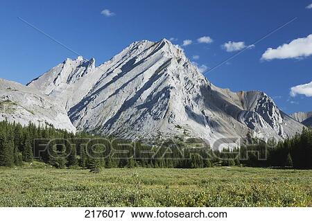 Mountain Meadow With Mountain And Trees In Background With Blue Sky And Clouds Kananaskis Provincial Park; Alberta Canada View Large Photo Image Stock Photo - Mountain Meadow With Mountain And Trees In Background With Blue Sky And Clouds Kananaskis Provincial Park; Alberta Canada. Fotosearch