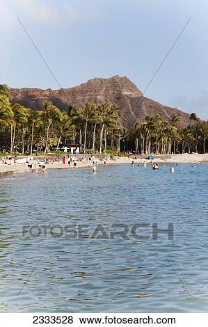 Stock Photo - Mountain, palm trees and beach wit people swimming in the ocean along the coast; Honolulu, Oahu, Hawaii, United States of America. Fotosearch