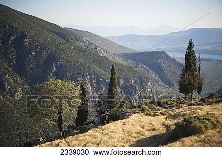 Mountainous Landscape; Delphi, Greece View Large Photo Image Stock Image - Mountainous Landscape; Delphi, Greece. Fotosearch
