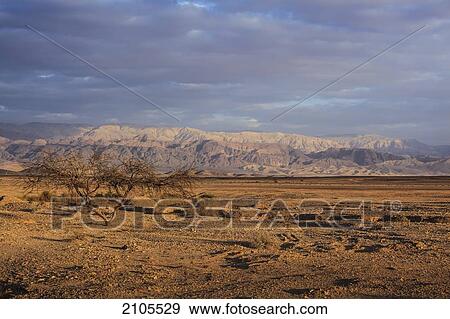 Mountains And Desert Landscape; Jordan Rift Valley Israel View Large Photo Image Stock Photo - Mountains And Desert Landscape; Jordan Rift Valley Israel. Fotosearch