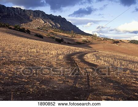 Mountains And Field In Sunlight View Large Photo Image Stock Image - Mountains And Field In Sunlight. Fotosearch