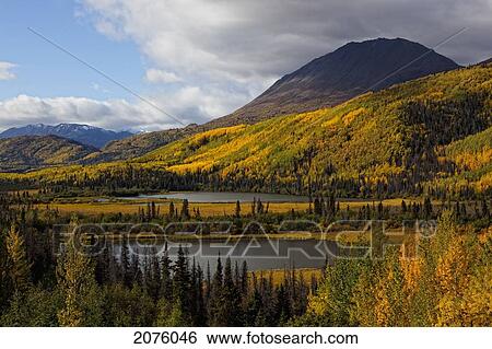 Mountains In Autumn Colour Along The Haines Highway; Yukon Canada View Large Photo Image Stock Photograph - Mountains In Autumn Colour Along The Haines Highway; Yukon Canada. Fotosearch
