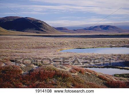 Stock Photo - Mountains With Frost. Fotosearch