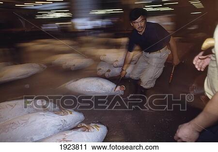 Stock Image - Moving Frozen Tuna Fish After Auction. Fotosearch