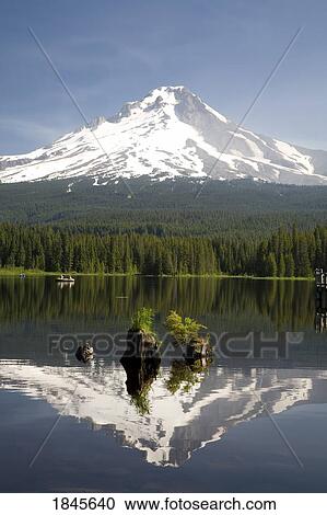 Stock Image - Mt. Hood Reflects In Trillium Lake; Mt Hood National Forest, Oregon, Usa. Fotosearch