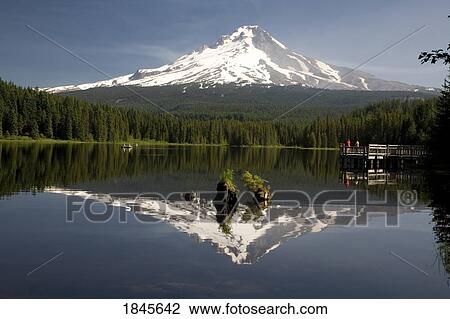 Stock Image - Mt. Hood Reflects In Trillium Lake; Mt Hood National Forest, Oregon, Usa. Fotosearch