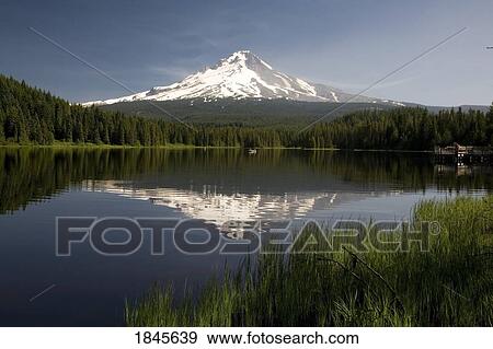 Stock Photo - Mt. Hood Reflects In Trillium Lake; Mt Hood National Forest, Oregon, Usa. Fotosearch