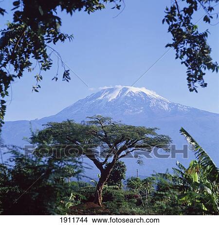 Picture - Mt. Kilimanjaro, Moshi, Tanzania. Fotosearch