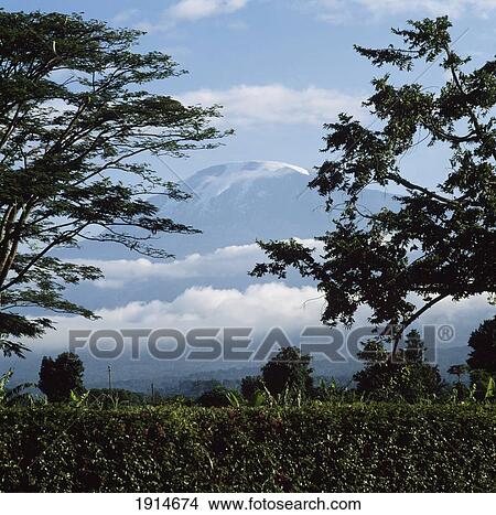 Picture - Mt, Kilimanjaro. Fotosearch