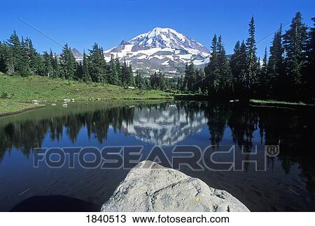 Mt. Rainier From Spray Park; Mt Rainier National Park, Washington State, Usa View Large Photo Image Stock Image - Mt. Rainier From Spray Park; Mt Rainier National Park, Washington State, Usa. Fotosearch