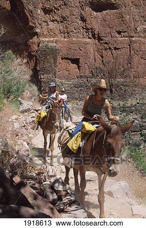Stock Image - Mule Rides, Grand Canyon. Fotosearch