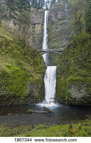 Multnomah Falls In Spring, Columbia River Gorge, Oregon, Usa View Large Photo Image Picture - Multnomah Falls In Spring, Columbia River Gorge, Oregon, Usa. Fotosearch